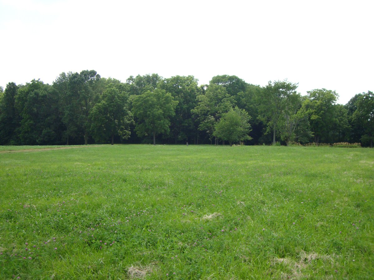 Property photo 6 - 160 Acres Offered in 6 Tracts